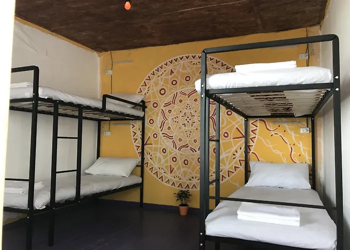 Hostel Steller & Camping