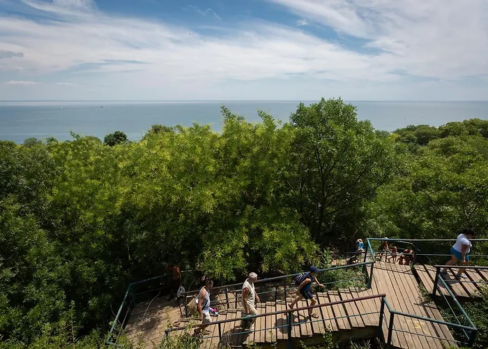 Steller & Camping Hostel