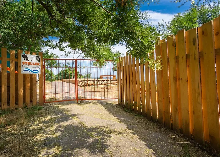 Hostel Steller & Camping Odessa