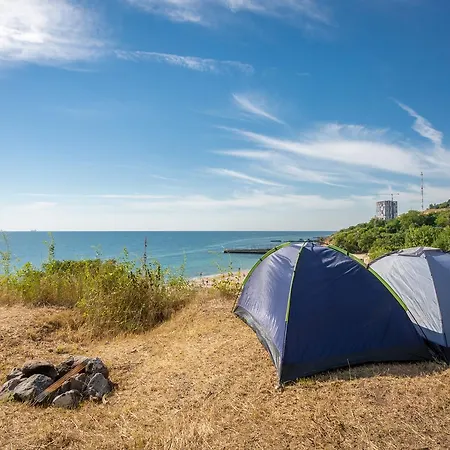 Steller & Camping *