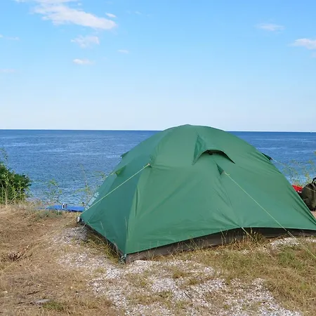 Steller & Camping