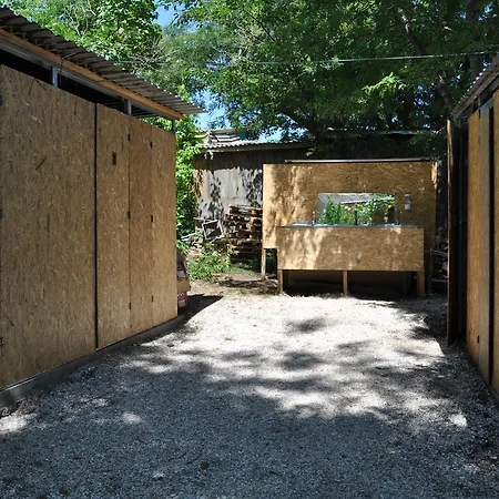 Hostel Steller & Camping *