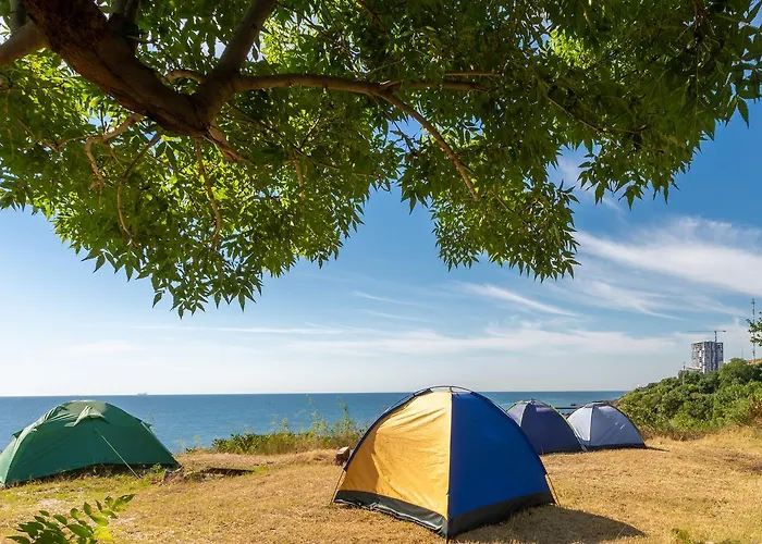 Steller & Camping * أوديسا